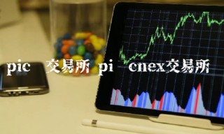 pic币交易所 pi币cnex交易所
