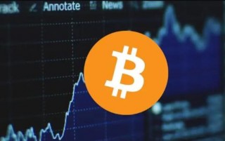 XCN币投资价值(xgp币投资)