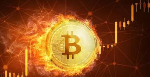 LN币今日最新价格介绍-第1张图片-芝麻交易所下载