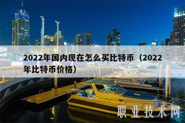 2022年国内现在怎么买比特币（2022年比特币价格-第1张图片-欧意易易下载