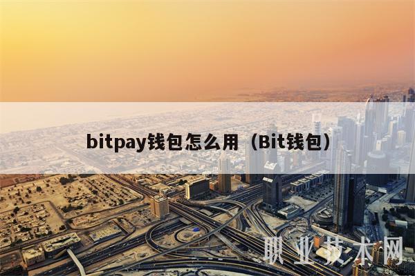 bitpay钱包怎么用（Bit钱包）-第1张图片-欧意易易下载