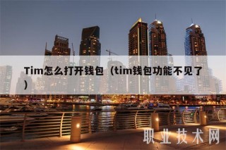 Tim怎么打开钱包（tim钱包功能不见了）
