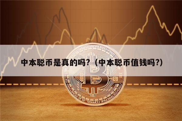 中本聪币是真的吗?（中本聪币值钱吗?）-第1张图片-欧意易易下载