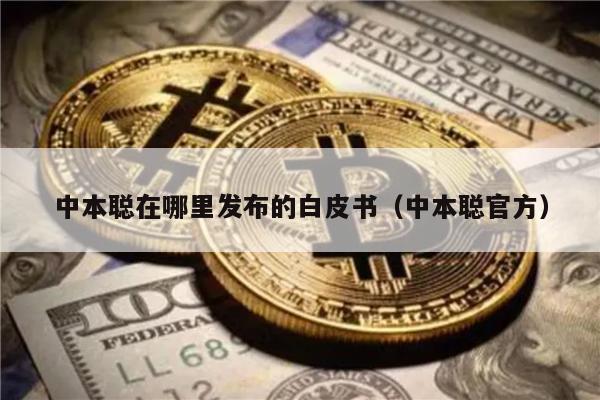 中本聪在哪里发布的白皮书（中本聪官方）-第1张图片-欧意易易下载