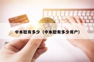 中本聪有多少（中本聪有多少用户）