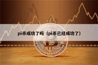 pi币成功了吗（pi币已经成功了）