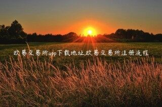 欧意易交易所app下载地址,欧意易交易所注册流程