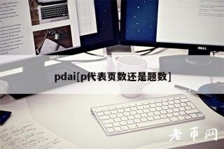 pdai[p代表页数还是题数]
