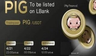 猪币最新版APP下载链接 pig币钱包手机端pig币钱包下载
