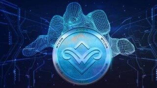 柚子币官方版app下载地址 柚子币交易所官方app最新版下载