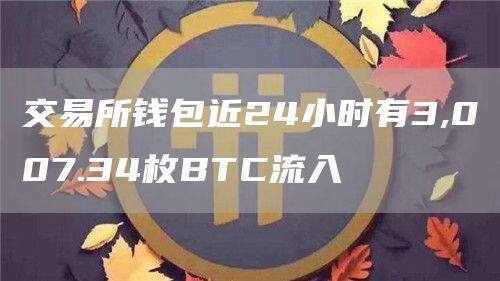交易所钱包近24小时有3,007.34枚BTC流入-第1张图片-欧意易易下载