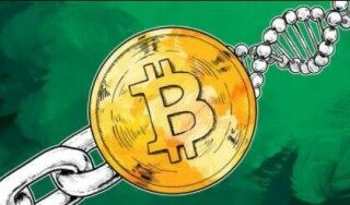 火币平台还能交易吗 正规的虚拟币交易平台