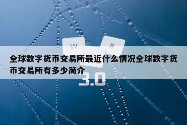 全球数字货币交易所最近什么情况全球数字货币交易所有多少简介-第1张图片-欧意易易下载