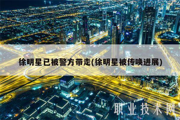 徐明星已被警方带走(徐明星被传唤进展)-第1张图片-芝麻交易所下载