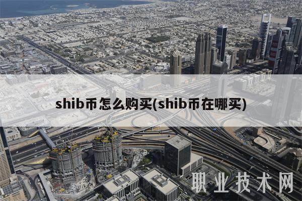 shib币怎么购买(shib币在哪买)-第1张图片-芝麻交易所下载