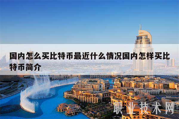 国内怎么买比特币最近什么情况国内怎样买比特币简介-第1张图片-芝麻交易所下载