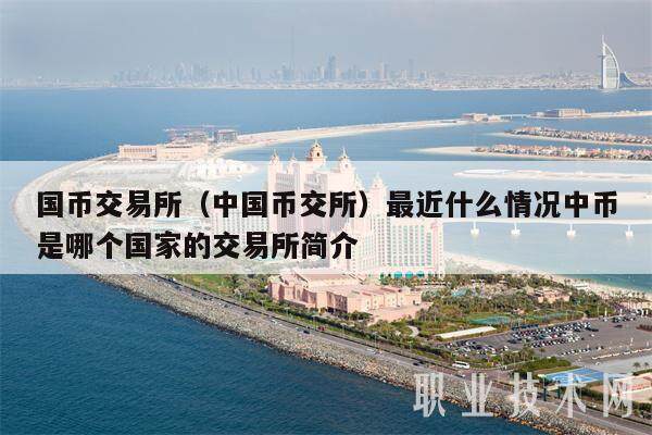 国币交易所（中国币交所）最近什么情况中币是哪个国家的交易所简介-第1张图片-芝麻交易所下载