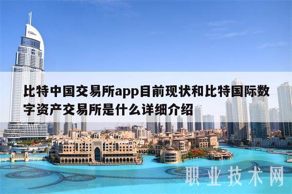 比特中国交易所app目前现状和比特国际数字资产交易所是什么详细介绍-第1张图片-芝麻交易所下载