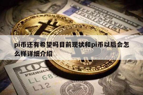 pi币还有希望吗目前现状和pi币以后会怎么样详细介绍-第1张图片-芝麻交易所下载