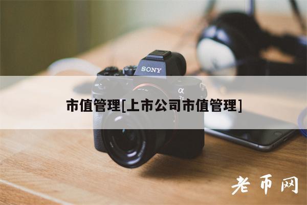 市值管理[上市公司市值管理]-第1张图片-欧意易易下载