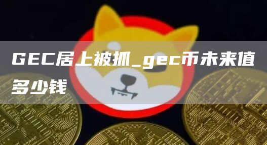 GEC居上被抓_gec币未来值多少钱