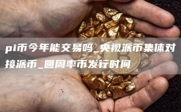 pi币今年能交易吗_央视派币集体对接派币_圆周率币发行时间