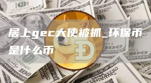 居上gec大使被抓_环保币是什么币