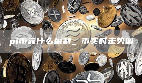 pi币靠什么盈利_π币实时走势图