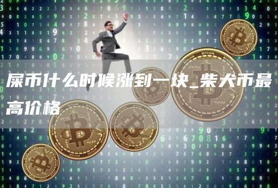 屎币什么时候涨到一块_柴犬币最高价格
