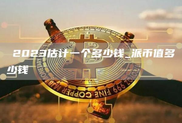 π2023估计一个多少钱_派币值多少钱
