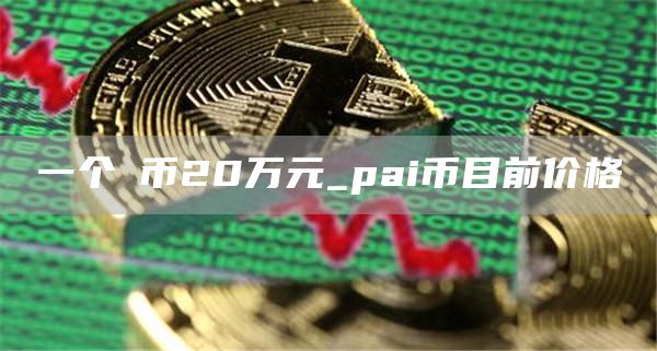 一个π币20万元_pai币目前价格