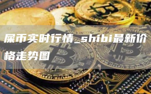 屎币实时行情_shibi最新价格走势图