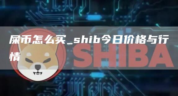 屎币怎么买_shib今日价格与行情