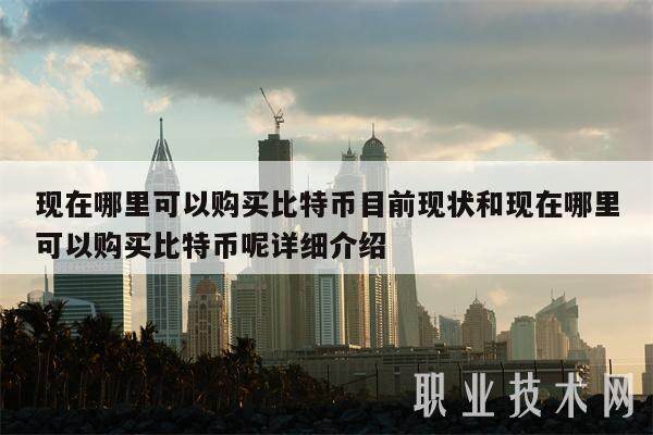 现在哪里可以购买比特币目前现状和现在哪里可以购买比特币呢详细介绍-第1张图片-芝麻交易所下载