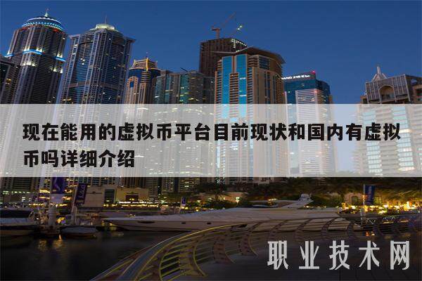 现在能用的虚拟币平台目前现状和国内有虚拟币吗详细介绍-第1张图片-芝麻交易所下载