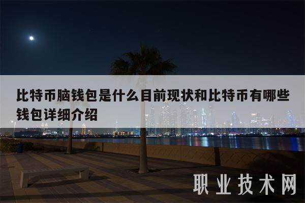 比特币脑钱包是什么目前现状和比特币有哪些钱包详细介绍-第1张图片-芝麻交易所下载