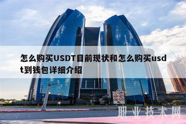 怎么购买USDT目前现状和怎么购买usdt到钱包详细介绍-第1张图片-芝麻交易所下载
