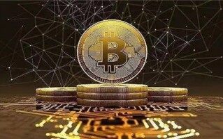 芝麻交易所交易所行情 芝麻交易所app最新版安全交易平台