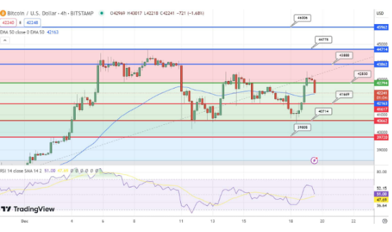随着BTC上涨5.30%至43000美元　能否持续这种增长？-第2张图片-芝麻交易所下载