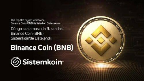 BNB币未来前景如何-第1张图片-欧意易易下载