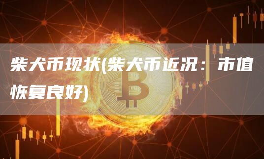 柴犬币现状 - 柴犬币近况：市值恢复良好