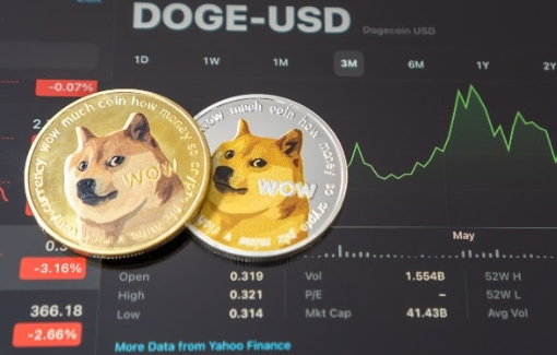 错过了2021年的狗狗币激增-第1张图片-芝麻交易所下载