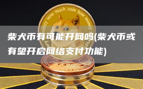 柴犬币有可能开网吗 - 柴犬币或有望开启网络支付功能