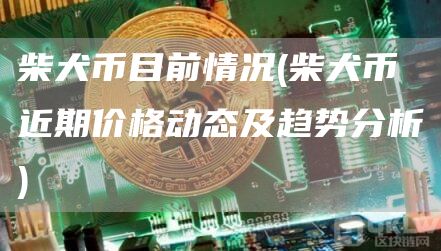 柴犬币目前情况 - 柴犬币近期价格动态及趋势分析