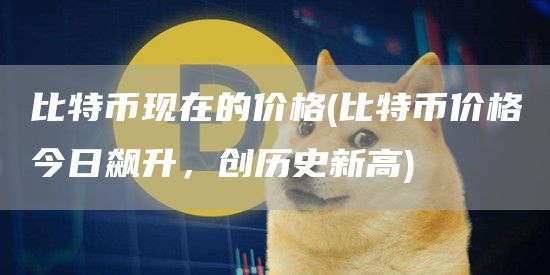 比特币现在的价格 - 比特币价格今日飙升，创历史新高