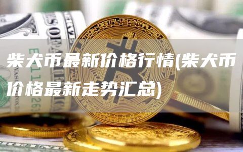 柴犬币最新价格行情 - 柴犬币价格最新走势汇总