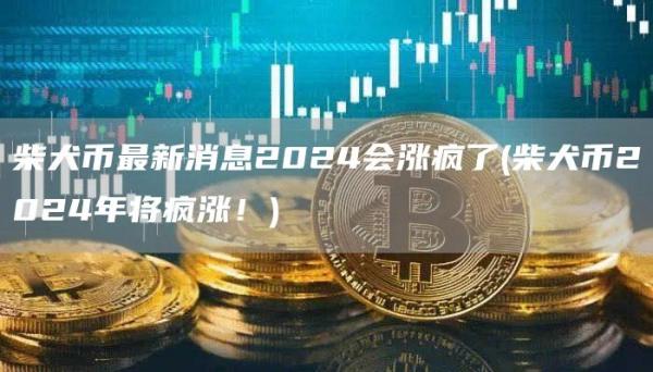 柴犬币最新消息2024会涨疯了 - 柴犬币2024年将疯涨！