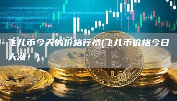 飞儿币今天的价格行情 - 飞儿币价格今日大涨！