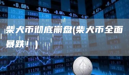 柴犬币彻底崩盘 - 柴犬币全面暴跌！