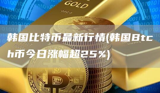 韩国比特币最新行情 - 韩国Btch币今日涨幅超25%